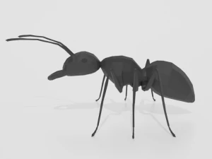 low poly cartoon ant 3D Model