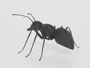 low poly cartoon ant 3D Model