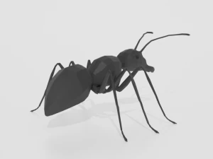 low poly cartoon ant 3D Model