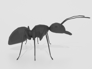 low poly cartoon ant 3D 모델