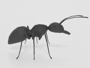 low poly cartoon ant 3D Model