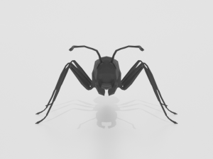 low poly cartoon ant 3D 모델