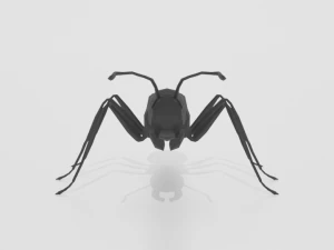 low poly cartoon ant 3D Model