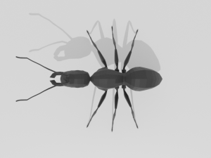 low poly cartoon ant 3D 모델