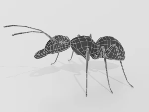 low poly cartoon ant 3D Model