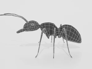 low poly cartoon ant 3D Model