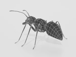 low poly cartoon ant 3D Model