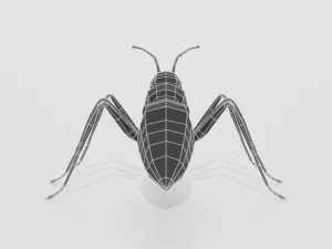 low poly cartoon ant 3D Model