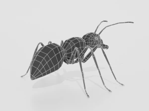 low poly cartoon ant 3D Model