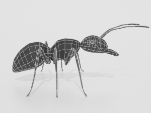 low poly cartoon ant 3D 모델