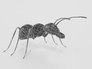 low poly cartoon ant 3D Model