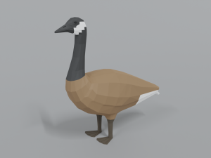 low poly cartoon canada goose 3D Model