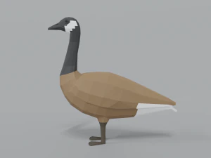 low poly cartoon canada goose 3D Model
