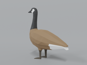 low poly cartoon canada goose Model 3D