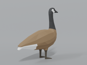 low poly cartoon canada goose Model 3D
