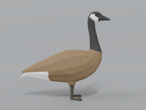 low poly cartoon canada goose Model 3D