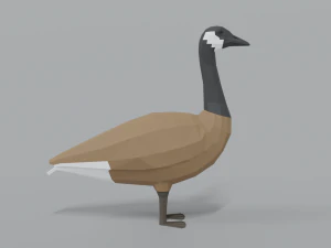 low poly cartoon canada goose 3D Model