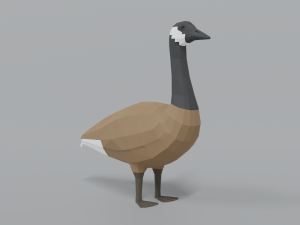 low poly cartoon canada goose Model 3D
