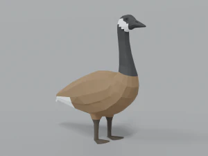 low poly cartoon canada goose 3D Model