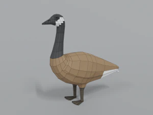 low poly cartoon canada goose 3D Model
