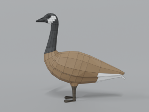 low poly cartoon canada goose Model 3D