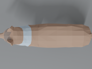 low poly cartoon rough collie dog 3Dモデル