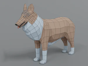 low poly cartoon rough collie dog 3D Model