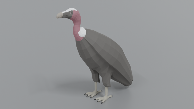 low poly cartoon vulture Modelo 3D .c4d .max .obj .3ds .fbx .stl .blend 
