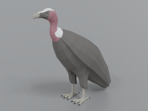 low poly cartoon vulture 3D Model