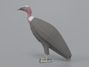 low poly cartoon vulture Modelo 3D