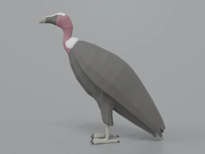 low poly cartoon vulture 3D Model