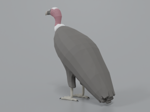low poly cartoon vulture Modelo 3D