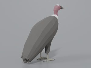 low poly cartoon vulture Modelo 3D
