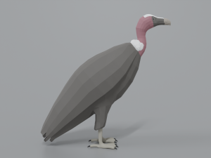 low poly cartoon vulture Modelo 3D