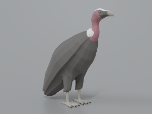 low poly cartoon vulture Modelo 3D