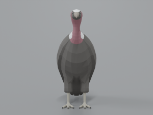 low poly cartoon vulture Modelo 3D