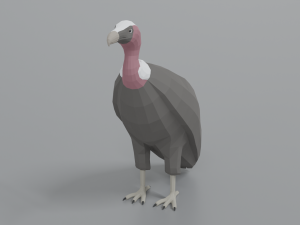 low poly cartoon vulture Modelo 3D