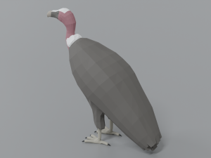 low poly cartoon vulture Modelo 3D