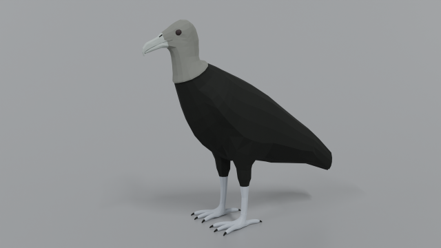 low poly cartoon black vulture Modello 3D .c4d .max .obj .3ds .fbx .stl .blend 