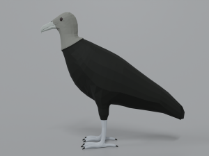 low poly cartoon black vulture Modello 3D