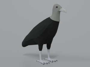 low poly cartoon black vulture Modello 3D