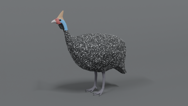 low poly cartoon helmeted guineafowl Model 3D .c4d .max .obj .3ds .fbx .stl .blend 