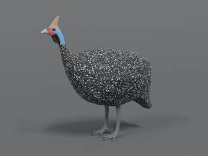 low poly cartoon helmeted guineafowl 3D Model