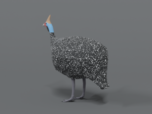 low poly cartoon helmeted guineafowl Model 3D