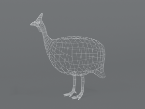 low poly cartoon helmeted guineafowl Model 3D