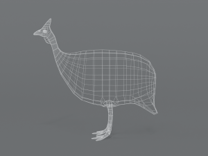 low poly cartoon helmeted guineafowl Model 3D