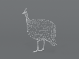 low poly cartoon helmeted guineafowl Model 3D
