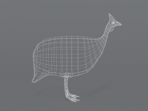low poly cartoon helmeted guineafowl Model 3D