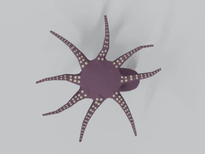 low poly cartoon octopus 3D Model
