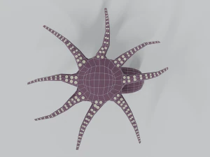 low poly cartoon octopus 3D Model